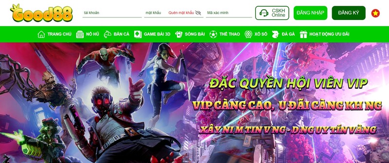 Đặc quyền cho hội viên VIP